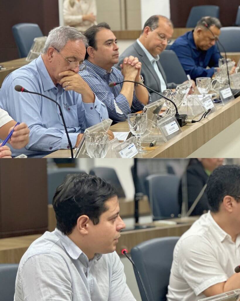 reunião do COTEMA
