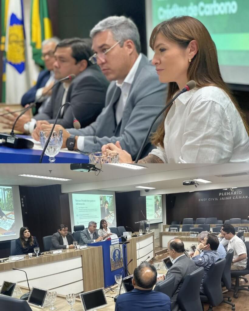 reunião do COTEMA